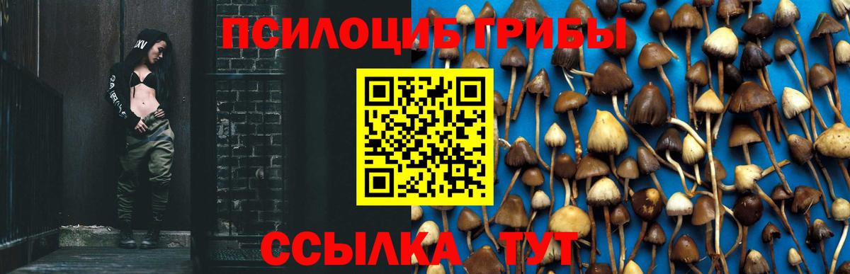 Красноуфимск  Псилоцибиновые грибы ЛСД  Вход с VPN 